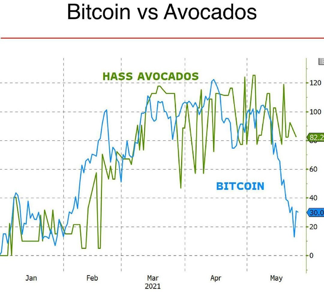 Stat of the Day on Bitcoin vs Avocados