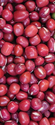 Red Beans